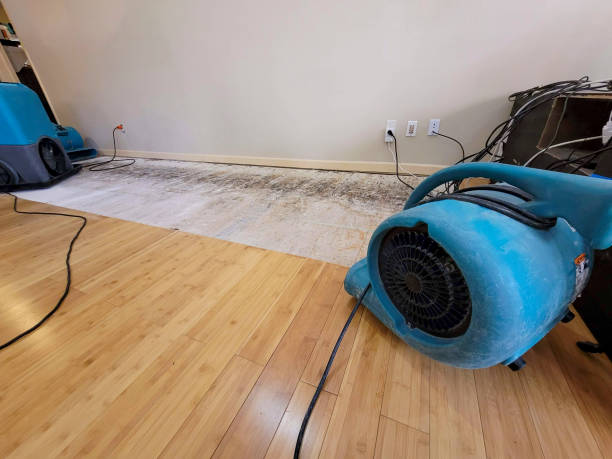 Professional Structural Drying technician working in Cherry Valley, MA